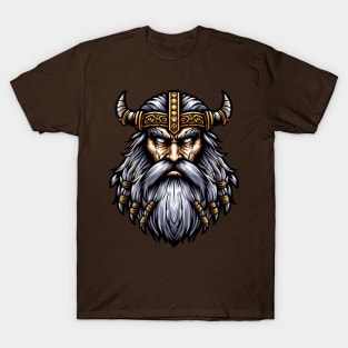 Viking S01 D100 T-Shirt